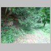 DSC01166.JPG