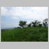 DSC01213.JPG