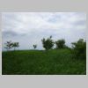 DSC01215.JPG
