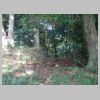 DSC01739.JPG