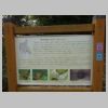 DSC03106.JPG