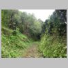 DSC04593.JPG