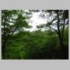 DSC04796.JPG