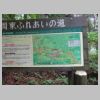 DSC05869.JPG