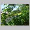 DSC05922.JPG