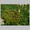 DSCN0551.JPG