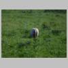 DSCN0567.JPG