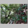 DSC04294.JPG