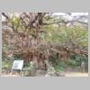 DSCN9160.JPG