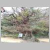 DSCN9161.JPG