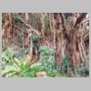 DSCN9163.JPG