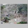 DSCN9290.JPG