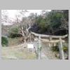 DSCN9291.JPG