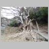 DSCN9293.JPG