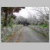 DSCN9352.JPG