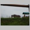 DSC00504.JPG