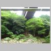 DSC00546.JPG