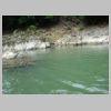 DSC00554.JPG