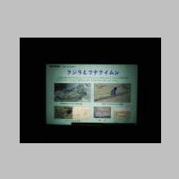 DSCN8707.JPG