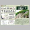 panf.pdf