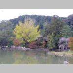 IMGP3509.JPG