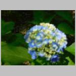 DSCN1348.JPG