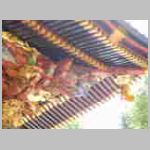 DSCN1379.JPG