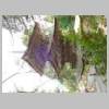DSCN2740.JPG