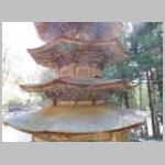 DSCN0858.JPG