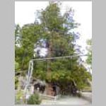 DSCN0766.JPG