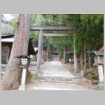 DSCN0768.JPG