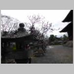 DSCN0752.JPG
