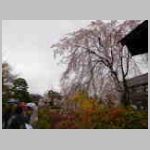 DSCN0762.JPG