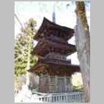 DSCN0810.JPG