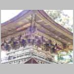 DSCN0813.JPG