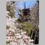 DSCN0838.JPG
