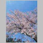 DSCN0839.JPG