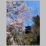 DSCN0840.JPG