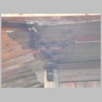 DSCN1783.JPG