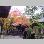 IMGP3762.JPG