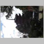 DSCN2105.JPG