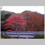 DSCN2110.JPG