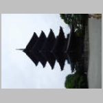 DSCN1534.JPG