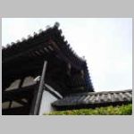 DSCN1557.JPG