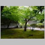 DSCN1590.JPG