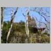 DSCN2591.JPG