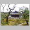 DXCN0037.jpg