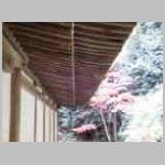 DSCN2123.JPG