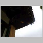 DSCN1604.JPG