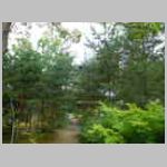 DSCN1618.JPG